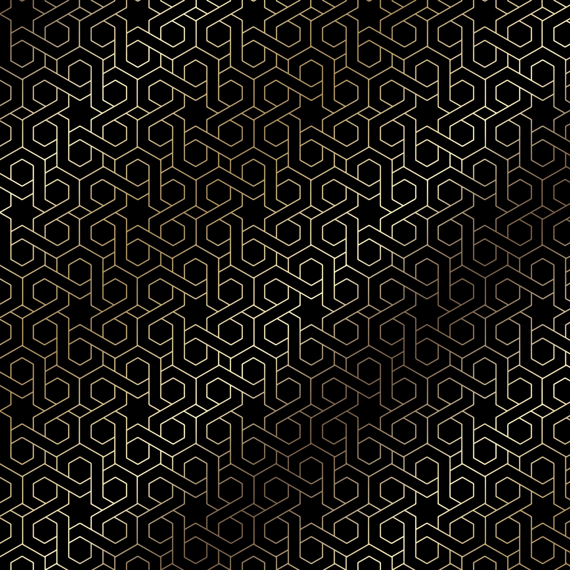 Yörük Collections Intro